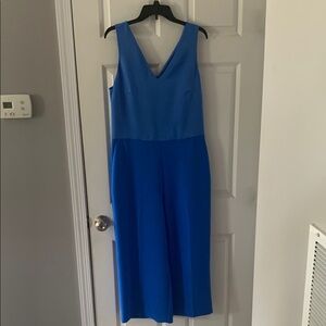 Banana Republic Blue Sleeveless V-Neck Jumpsuit
